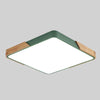 Wood Macaron LED Square Ceiling Lamp, White Light, Size:30cm(Green)