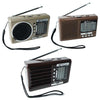 BAIJIALI PX-53U Champagne Gold Multi-band Retro Pointer Radio USB Plug In Card Radios