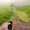 6661 Infrared Sensor Remote Control Simulated Praying Mantis Creative Children Electric Tricky Toy Model