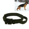 Heavy Duty Nylon Dog Collar, Army Green, Medium (38-47cm)