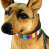 Canvas & PU Dog Collar, Yellow, M (2.0x40cm)