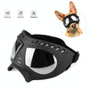 Dog Goggles, UV Protection, Waterproof, Black