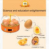 6-Egg Mini Egg Incubator, Digital Incubator with Automatic Temperature Control, EU Plug