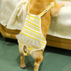 Dog Anti-Harassment Pants, Yellow & White, Size S