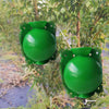 2pcs Plants Growth High Pressure Box Spherical Root Controller Grafting Root Cases, Model: M Green 80mm