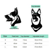 Pet Helmet, Dog & Cat Head Protection, Black, M