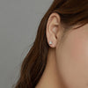 S925 Sterling Silver Simple Style Zircon Women Earrings