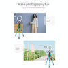 JMARY KP2254 Three colors are available Cell Phone SLR Outdoor Photography Tripod Stand(Black)