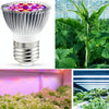 2 PCS LED Plant Growth Lamp Full Spectrum Plant Fill Light Cup, Power: E27 28 Beads