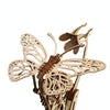 3D Wooden Mechanical Butterfly Hand-Assembled Puzzle Model