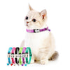 2 Pack Reflective Cat Collar with Bell, XS 19-30cm, Black