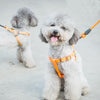 Orange Dog Collar, Harness & Leash Set - Small (Up to 8kg)