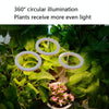 LED Plant Growth Lamp Full Spectroscopy Intelligent Timing Indoor Fill Light Ring Plant Lamp, Power: One Head(Sunshine)