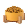 Elevated Ceramic Cat & Small Dog Bowl, 15.5cm, Yellow, 850ml