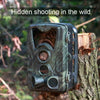 WiFi801Pro 4K Outdoor Tracking Hunting Camera APP Remote Phone Control To View Photos / Video At Any Time