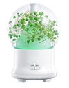 ML-824 100ML Gypsophila Flowers Aromatherapy Diffuser Air Humidifier with Colorful LED Light for Office / Home(Green)