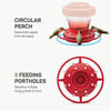 Hanging Wild Bird Feeder - Red - Detachable & Easy Clean