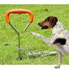 Dog Tie-Out Stake, 45cm Spiral Nail with Handle, for Training (Small/Medium Dogs)