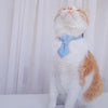 Dark Blue Denim Cowboy Bow Tie Pet Collar, S (16-32cm), Cats & Dogs