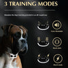 Wireless Dog Fence & Trainer - 2 Dogs - Gold