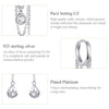 Sterling Silver Earrings Zircon Tassel Long Earrings S925 Girl Earrings jewelry