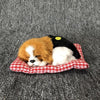 Simulation Will Call the Sleeping Dog Ornaments Toy Creative Doll Children Gift(Black Yellow)