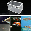 Aquarium Fish Breeding Isolation Box | Large | Fry Incubator