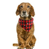 Large Orange Christmas Dog Towel | Absorbent Cotton Bandana