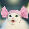 Funny Yellow Dot Pet Hat - Adjustable, Soft & Comfy