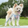 Breathable Dog Harness & Leash, Blue, Medium - Puppy Vest