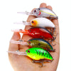 HENGJIA Rock Lure Small Fat Hard Bait Boxed Fake Bait(5)