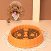 Slow Feeder Dog & Cat Bowl - Anti-Choking - Orange - 27cm