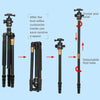 ZOMEI Z688 Portable Professional Travel Magnesium Alloy Material Tripod Monopod with Ball Head for Digital Camera