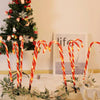 10 in 1 Christmas Cane Lights Holiday Indoor Garden Decoration Lights(EU Plug)