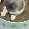 Green Round Cat Scratcher Bed - Small 32cm - Kitten & Cat