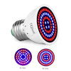 4 PCS LED Plant Growth Lamp Red Blue Spectrum Plant Fill Light, Power: E14 80 Beads