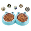 Stainless Steel Double Pet Bowl - Blue - Cat & Dog