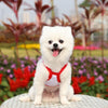 Red Dinosaur Mesh Dog Vest XXL - Breathable Summer Pet Clothes