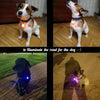 LED Dog & Cat Collar Light - Green - Safety Pendant