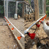 10x Touch Activated Poultry Drinkers - Automatic Chicken Waterer Bowls