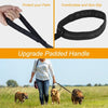 5m Long Dog Training Lead with Bungee (Black) - 2.5cm Wide