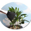 5 PCS Horticultural Plant Brushes Debris Brush Dust Brush