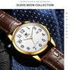 OLEVS 5566 Men Simple Single Calendar Waterproof Quartz Watch(White)