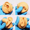 Simulation Facial Features Silicone Model Practice Display Props, Style:Left Ear(Flesh Color)