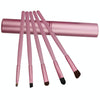 5 PCS Handle Eyes Makeup Brush Set with Aluminum Tube(Pink)