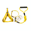 Small Dog Collar, Harness & Leash Set, Yellow, S (8kg Max)