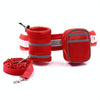 Reflective Dog Running Belt & Lead Set with Bags (Red)