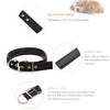 Black Dog Collar, Padded, Adjustable, Large (46-55cm)