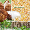 DIY Chicken Feeders Automatic Poultry Feeders Kit For Buckets, Barrels, Troughs, Spec: 4pcs/set Orange