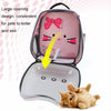 Pink Cat Carrier Backpack, Transparent Capsule, Breathable, Portable